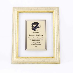 Clear frame plaque - CF Series