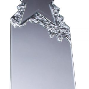 Crystal star award - CRY377