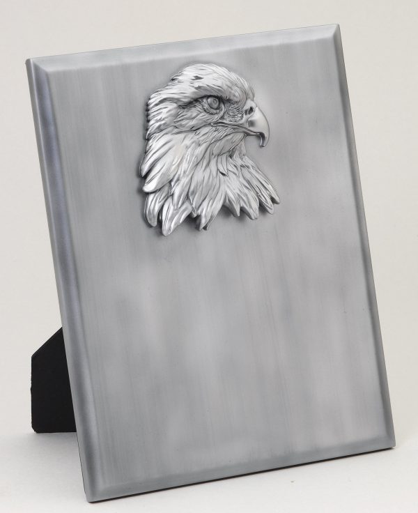 8'' x 10'' eagle resin stand-up plaque - AE220