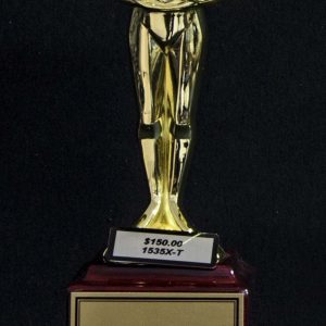 Solid medal male victory on solid piano finished base