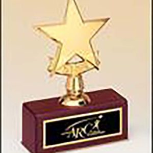Polished metal goldtone star award on rosewood piano finished base