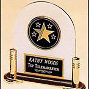 5-star acrylic award with medallion