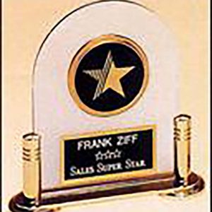 Star acrylic award with medallion