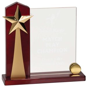 Vertical rising star acrylic award on piano finished rosewood base
