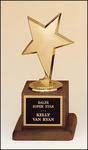 6.75 inch gold star award