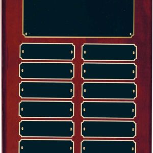 9'' x 12'' rosewood piano finished perpetual plaque with 12 plates