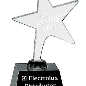 7.5 inch crystal rising star award