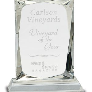 Faceted crystal rectangle award