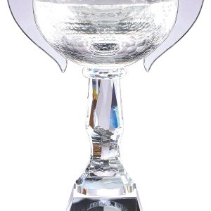 Crystal cup
