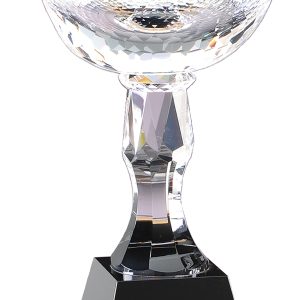 12.5 inch crystal cup on black base