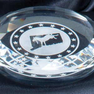 3.5'' x 0.5'' crystal gem paperweight