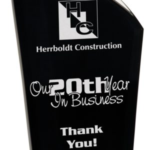 Black and clear deco acrylic award