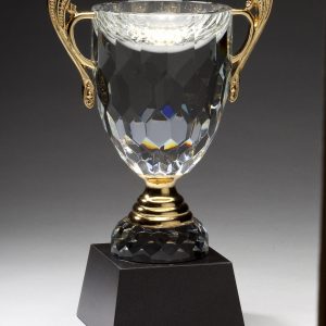 7.5 inch crystal cup with gold handles and stem on black base