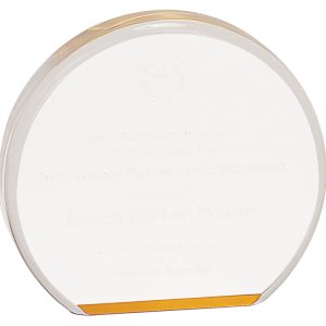 Gold round acrylic award