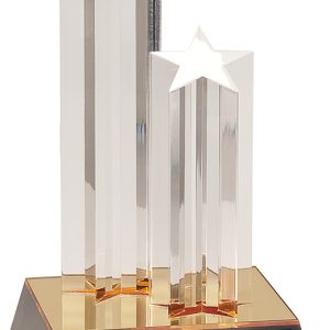 9.5 inch double star column acrylic award