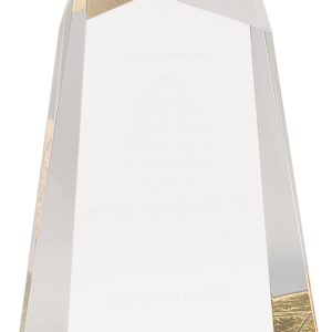Gold faceted acrylic wedge award