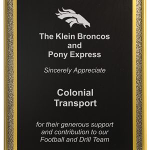 Black diamonds acrylic plaque