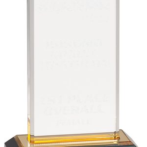 Gold beveled impress acrylic award