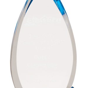 Blue oval impress acrylic award