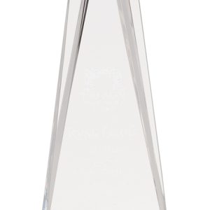 Silver star impress acrylic award