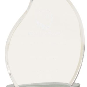 Silver flame impress acrylic award