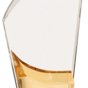 Gold lunar acrylic award