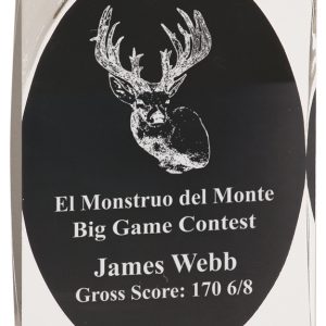 Black luminary portrait acrylic award