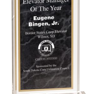 Black marbleized acrylic award