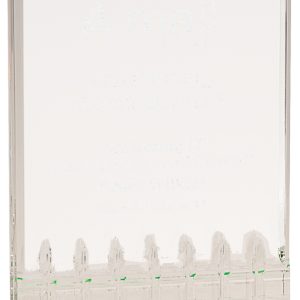 Green mirage acrylic award