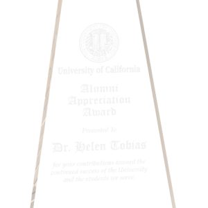 Gold acrylic optima award