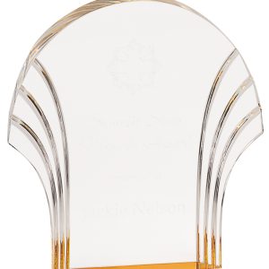 Gold shell acrylic award