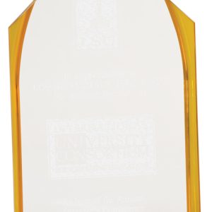 Gold and clear acrylic steeple award