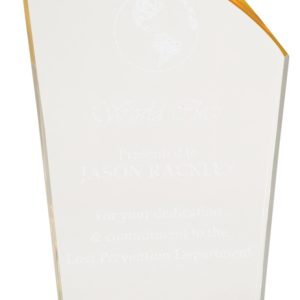 Gold and clear deco acrylic award