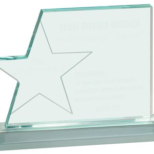 6 inch acrylic star page award