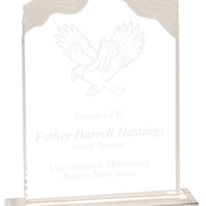 Clear acrylic white cap award
