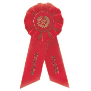 8.5 inch 2nd place rosette ribbon