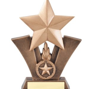 Star resin award