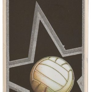 2 inch volleyball star dog tag