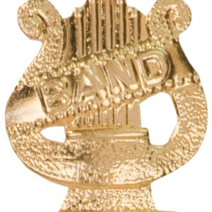 "Band" pin with bright gold finish and butterfly clutch back. Pin length is 0.5''