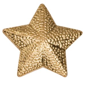 Star pin with bright gold finish and butterfly clutch back. Pin length is 0.5''